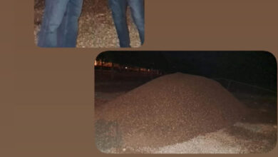 Photo of Jesús Jerez inicia construcción parque en Judea Nueva